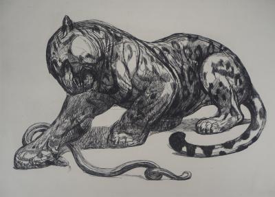 Paul JOUVE : Jaguar et serpent, c. 1926 - Gravure originale 2