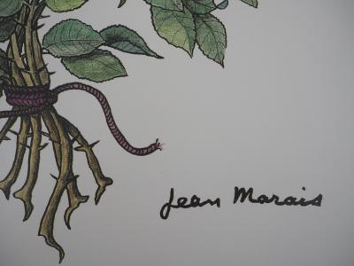 Jean MARAIS - Amour dans les Roses - Lithographie signée 2