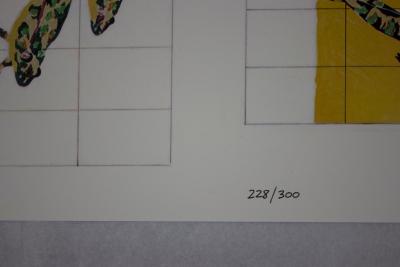 Nancy GRAVES - Sans titre, 1971 - Sérigraphie signée au crayon 2