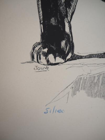 Paul JOUVE - Panthère sauvage, 1947 - Lithographie originale signée 2