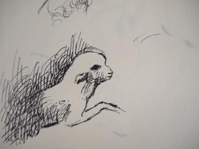 Marie LAURENCIN : Agneau, Dessin original signé 2