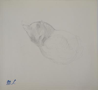 Marie LAURENCIN : Chat dormant, Dessin original signé 2