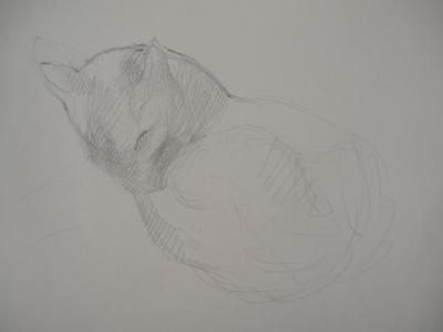Marie LAURENCIN : Chat dormant, Dessin original signé 2