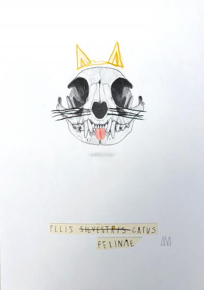 Mateo ANDREA - Felis Catus, 2020 - Dessin 2