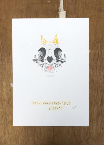 Mateo ANDREA - Felis Catus, 2020 - Dessin 2