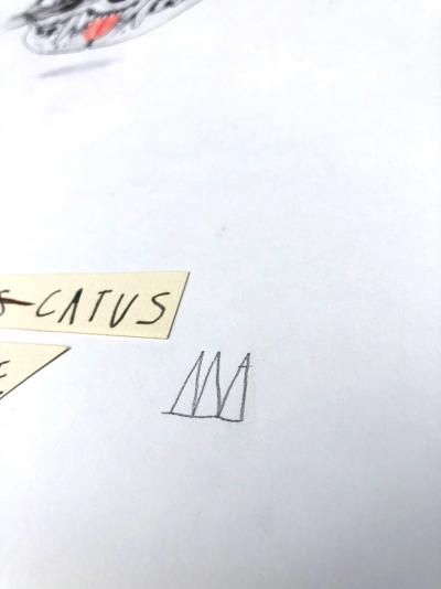 Mateo ANDREA - Felis Catus, 2020 - Dessin 2