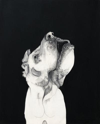 Mateo ANDREA - Perrito Señor, 2015 - Technique mixte sur toile 2