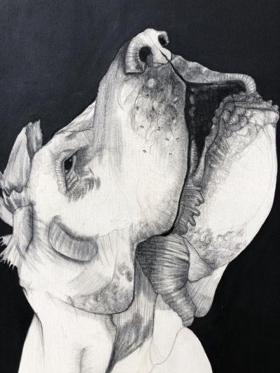 Mateo ANDREA - Perrito Señor, 2015 - Technique mixte sur toile 2