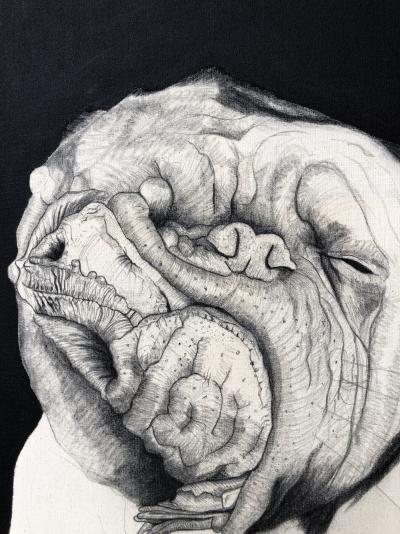 Mateo ANDREA - Perrito Señora, 2014 - Technique mixte sur toile 2