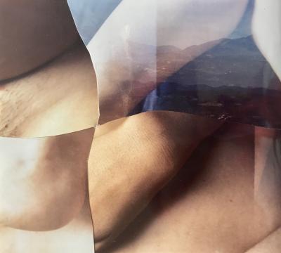 François ROUAN - Notes de regards, 2011, Tressage original de fragments photographiques 2