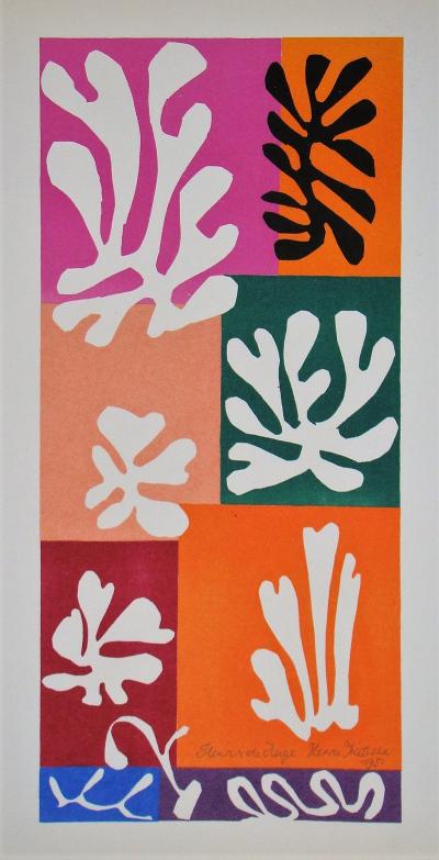 Henri MATISSE (d’après) - Fleurs De Neige, 1958 - Lithographie 2