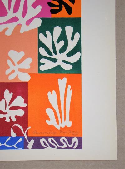 Henri MATISSE (d’après) - Fleurs De Neige, 1958 - Lithographie 2
