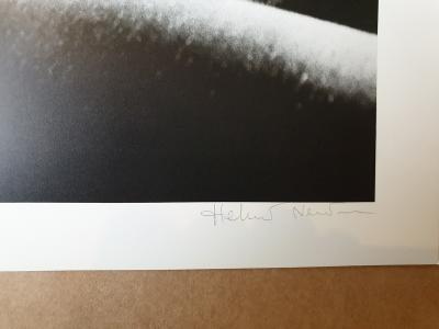 Helmut NEWTON - Fiona Lewis in Los angeles, 1976, Photolithographie 2