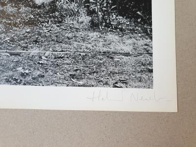 Helmut NEWTON - Croix-Valmer, 1976 - Photolithographie 2