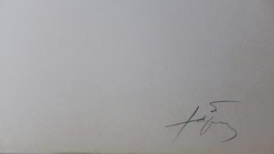 Antoni TAPIES - Llambrec 4 , 1975 - Lithographie signée au crayon 2