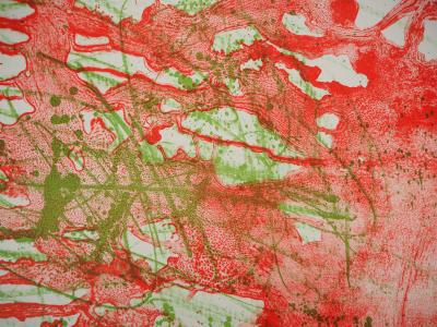 Joan MIRO : Lavis Rouge, 1961 - Grande lithographie originale signée au crayon 2