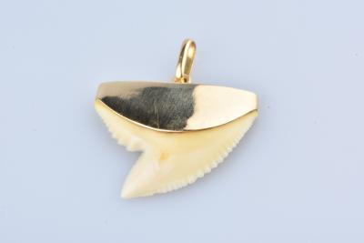 Pendentif dent de requin en or jaune 18 carats 2