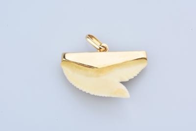 Pendentif dent de requin en or jaune 18 carats 2