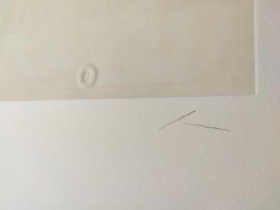 Ricardo CALERO - Natural 2, 2002 - Lithographie signée au crayon 2