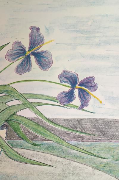 Maria GIRONA - Bol i Lliris, 1982 - Lithographie signée au crayon 2