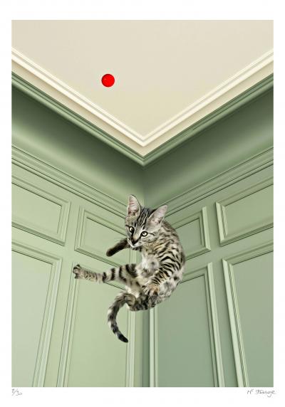 Mr Strange - Saute Lily II, 2019 - Sérigraphie signée au crayon