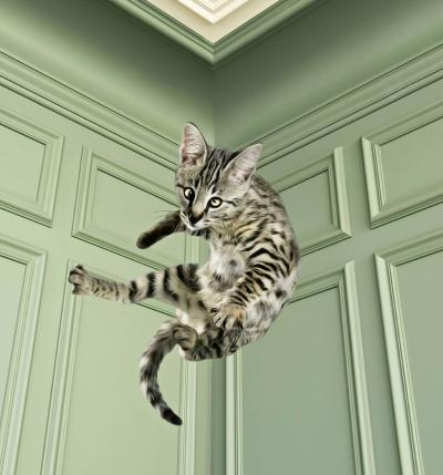 Mr Strange - Saute Lily II, 2019 - Sérigraphie signée au crayon 2