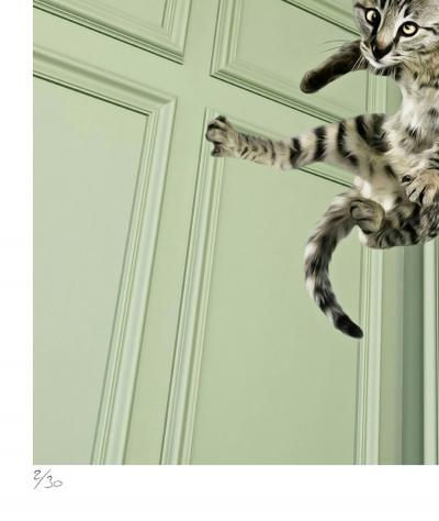 Mr Strange - Saute Lily II, 2019 - Sérigraphie signée au crayon 2