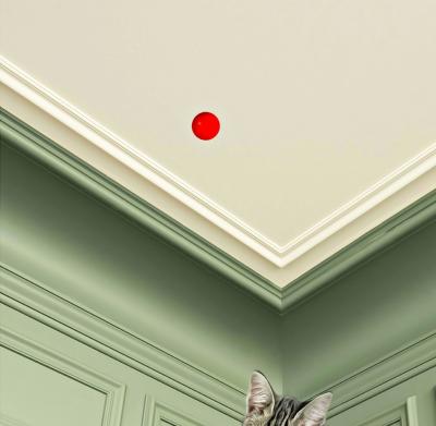 Mr Strange - Saute Lily II, 2019 - Sérigraphie signée au crayon 2