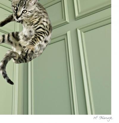 Mr Strange - Saute Lily II, 2019 - Sérigraphie signée au crayon 2