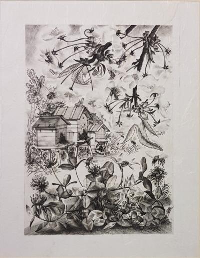 Tavy NOTTON - La vie des abeilles II - Gravure 2