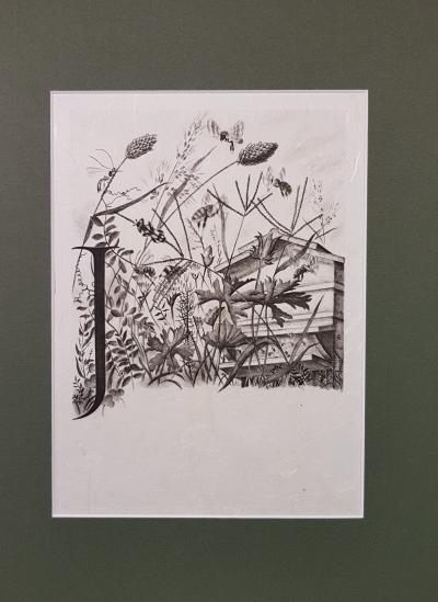 Tavy NOTTON - La vie des abeilles I - Gravure 2