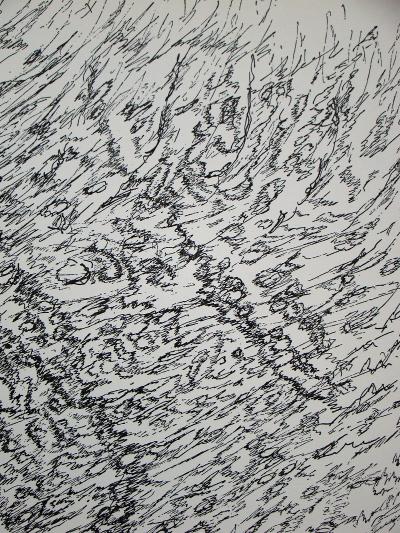 Henri MICHAUX (d’après) - Dessin,1955 - Lithographie 2