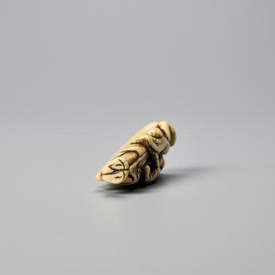 Japon - Netsuke en ivoire représentant Gama Sennin, Période Edo 2