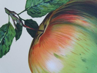 René MAGRITTE - Ceci n’est pas une pomme - Lithograph  - 2010 2