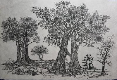Pierre CADIOU - Une famille d’arbres - Gravure signée au crayon 2
