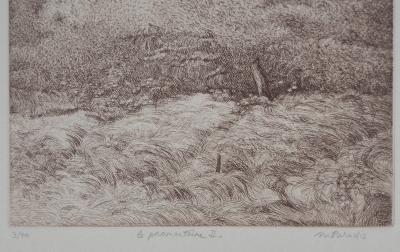 Michel PARADIS : Le Promontoire II - Gravure originale signée 2