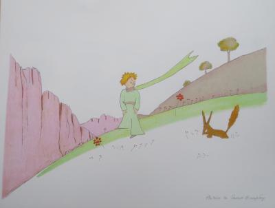 Antoine DE SAINT-EXUPERY (d’après) - Coffret Le Petit Prince - Ensemble de 9 lithographies 2