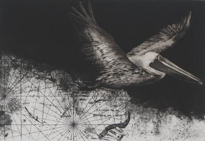 Isabelle PANAUD : Le Pélican - Gravure signée au crayon 2