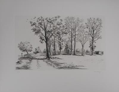 Louis MEZIN : Paysage aux arbres - Gravure signée au crayon 2