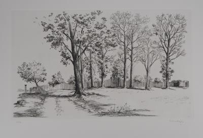 Louis MEZIN : Paysage aux arbres - Gravure signée au crayon 2