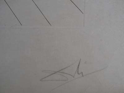 Salvador DALI : Flordali, Lune - Gravure originale signée au crayon 2