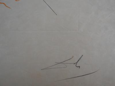 Salvador DALI : Flordali, Soleil - Gravure originale signée au crayon 2
