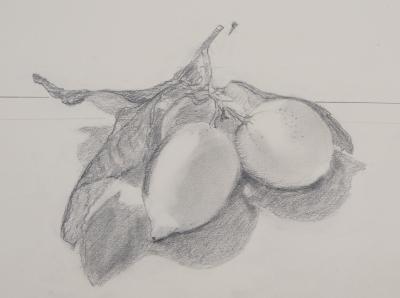 Lily MASSON : Olives, 1983  - Dessin au crayon original signé 2