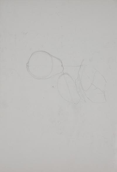 Lily MASSON : Bouquet de roses, c. 1966  - Dessin au crayon original signé 2