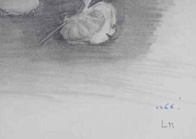 Lily MASSON : Bouquet de roses, c. 1966  - Dessin au crayon original signé 2