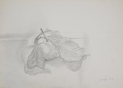 Lily MASSON : Citrons, 1983  - Dessin au crayon original signé 2