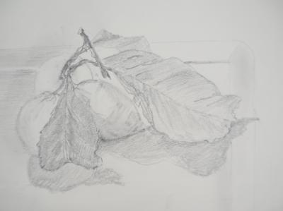Lily MASSON : Citrons, 1983  - Dessin au crayon original signé 2