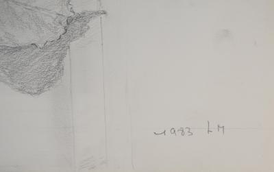 Lily MASSON : Citrons, 1983  - Dessin au crayon original signé 2