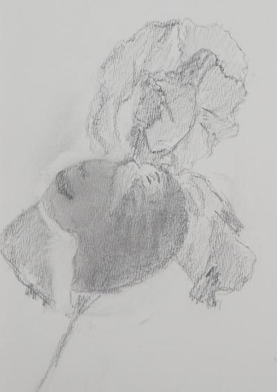 Lily MASSON : Fleuri  - Dessin au crayon original 2