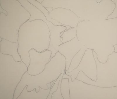 Lily MASSON : Calque de tableau bouquet de fleurs, 1978  - Dessin au crayon original 2